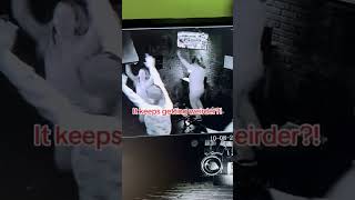 Weird Escape Room Group Caught On Camera