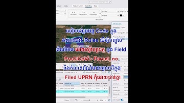 របៀបចង់រូបមន្ត Code ដើម្បីបញ្ចូល ព័ណ៌មាន ដោយស្វ័យប្រវត្ត ក្នុង Field ProDiCoVi - Parcel_no