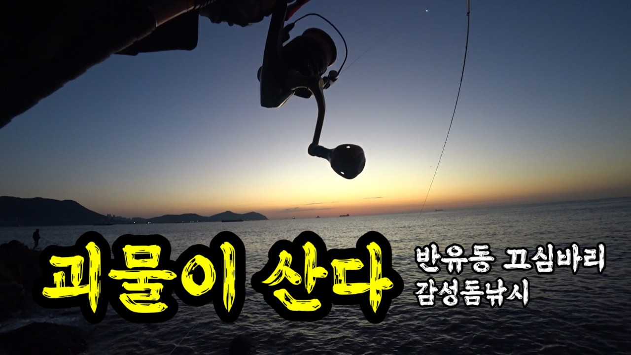 가까운 갯바위에 괴물이 산다!! #끄심바리 #감성돔경단 #감성돔채비 