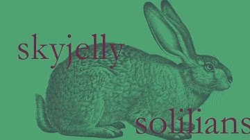 I Heart Noise Singles Club, Vol. One: Solilians & Skyjelly Split 7-inch