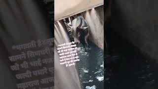 #art#automobile#anime#ai#asmr#reels#ayodhya#ad#abc#amazing#amor#army#sea#workout#instagram#ujjain#uk