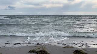 IMG 4560