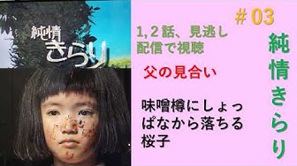 純情きらり Youtube