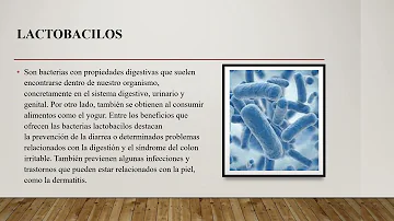 ¿Qué tipo de bacterias son beneficiosas para el ser humano?