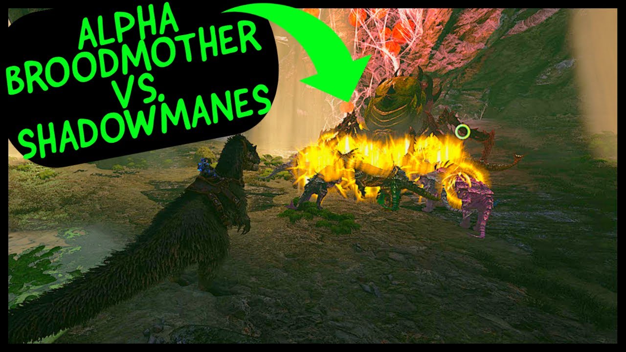 SHADOWMANE VS. ALPHA BROODMOTHER! EASY SOLO WIN STRAT