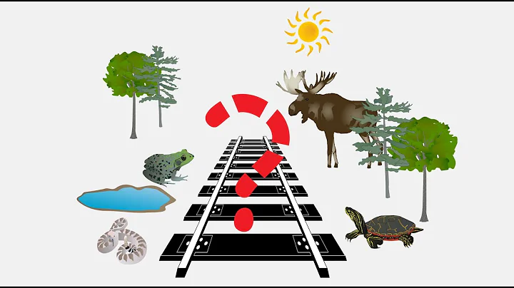 Weaving Indigenous Knowledge and Western Science to Investigate the Impacts of Railways on Wildlife
