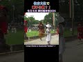 住吉大社で源平合戦⁉️ 住吉大社 御田植神事2026 / Rice Planting Ritual -Sumiyoshi Taisha Shrine