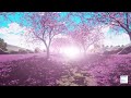 Augmented Relaxation - The Secret Garden