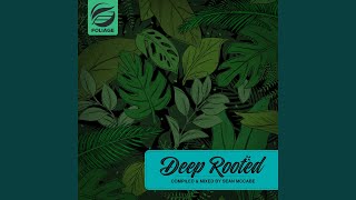 2 Positions (Sean McCabe Cosmos Dub Edit)