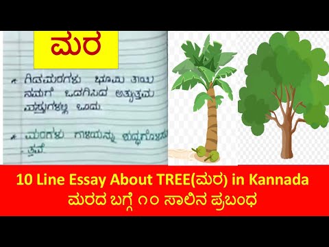 essay on date palm tree in kannada