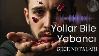 Yollar Bile Yabancı