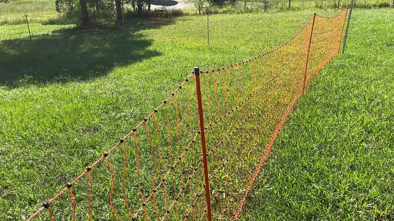 How To Set Up &Amp; Use Electric Fence Netting - Instructions &Amp; Tips 1 Poultry Netting Performance