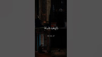 سورة التوبة|112-113|القارئ:#ياسر_الدوسري#قران #quran #قران_كريم #تلاوة #تلاوة_هادئة #آية