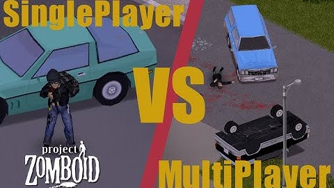 Project Zomboid SinglePlayer vs MultiPlayer