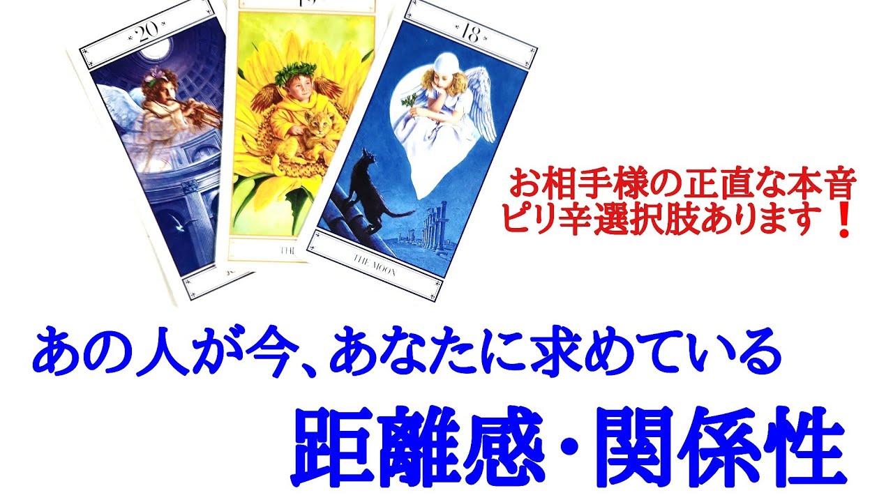 ピリ辛選択肢あります❗あの人が今、あなたに求めている距離感、望んでいる関係性 お相手様の現状 あなたへの気持ち 正直な本音本心 etc..
