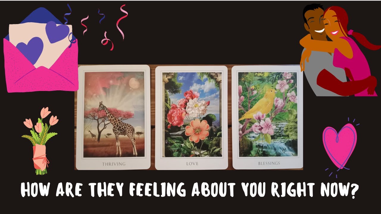 Что они думают о тебе сейчас? 🤔 😮 🔮 😍 😻 | Выберите карту