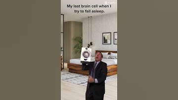 My last brain cell when I try to fall asleep.