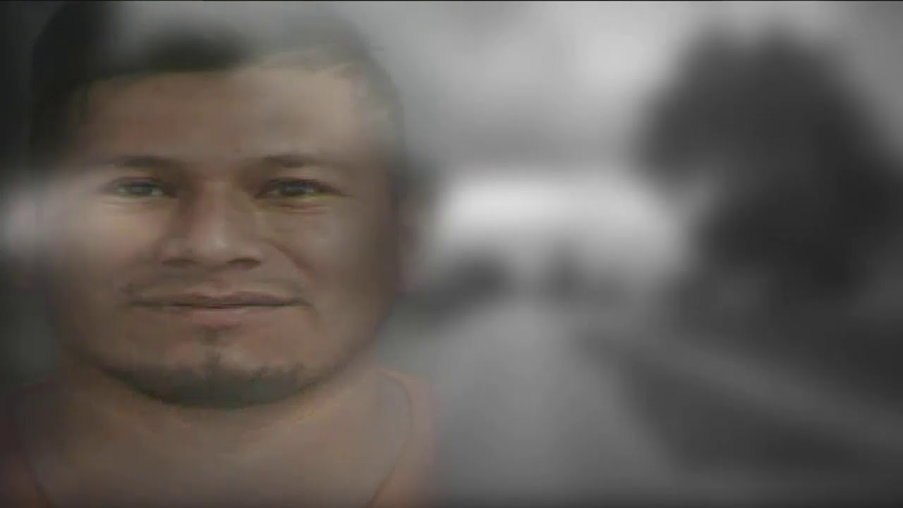 Man arrested for leading Collier County deputies on chase leaving ...