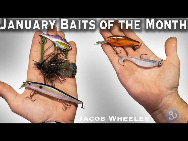 Baits of the Month January 2024 - Jacob Wheeler 
