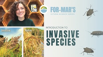 Introduction to Invasive Species