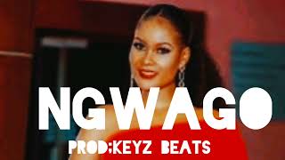 NGWAGO; Makhadzi X master kg X dj maphorisa type beats (Amapiano instrumentals)
