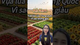 Download Lagu HÀ NAM VỰA LÚA CỦA TRUNG QUỐC TẠI SAO KHÔNG GIÀU! #viral #xuhuongyoutube #Hanamtrungquoc#tintuc MP3 Download Lagu HÀ NAM VỰA LÚA CỦA TRUNG QUỐC TẠI SAO KHÔNG GIÀU! #viral #xuhuongyoutube #Hanamtrungquoc#tintuc MP3