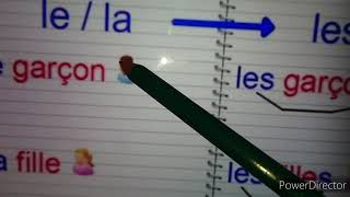 projet 1 séquence 2 (4AP) le pluriel des noms en :S ➕ des exercices sur le cahier d'activité