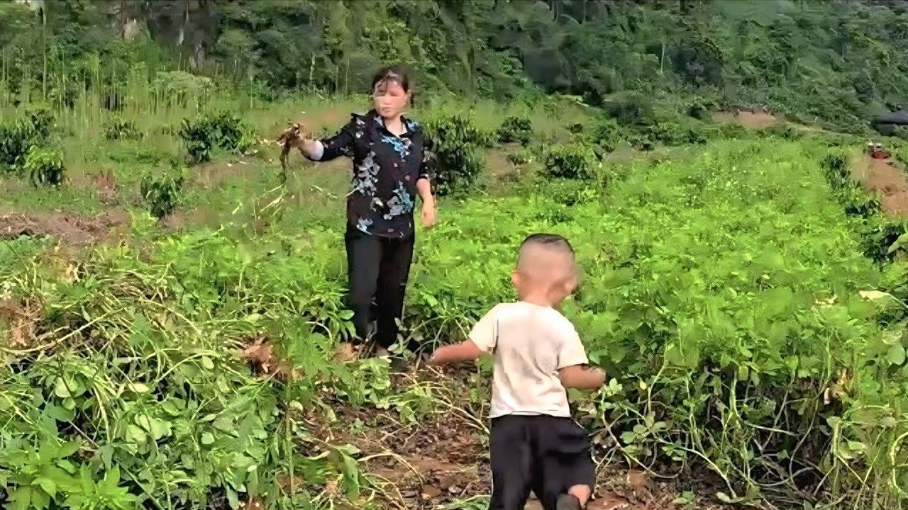 Happy Life Of Poor Mom And Her Baby