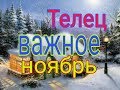 ТЕЛЕЦ ВАЖНОЕ НОЯБРЬ 2019г. ТАРО ПАСЬЯНС РУНЫ 12 ДОМОВ