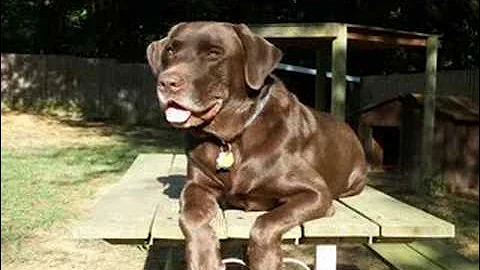 Strike up the Band - It's Party Time