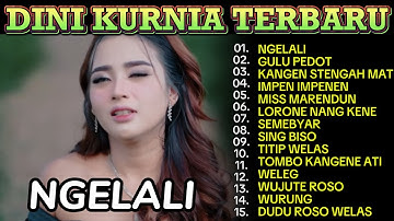 NGELALI DINI KURNIA MUFLY ALBUM TERBARU_LAGU OSING TERPOPULER  2025_KOPLO JATIM PRO4