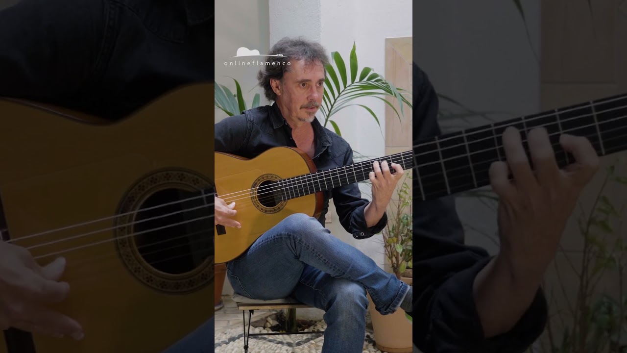 Paco Serrano never stops surprising us, this time "por Bulerías"!💃🏼🔥 bekijken op YouTube Paco Serrano never stops surprising us, this time "por Bulerías"!💃🏼🔥 bekijken op YouTube