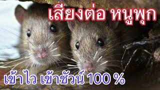 เสียงต่อหนูพุก หนูนา เข้าไว เข้าชัวน์ 100% คุณภาพ(HD) 2023