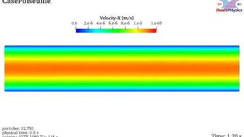 DualSPHysics example: CasePoiseuille