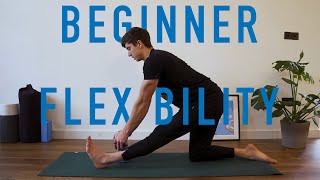 20 Minute Beginner Flexibility Routine V2! (FOLLOW ALONG)