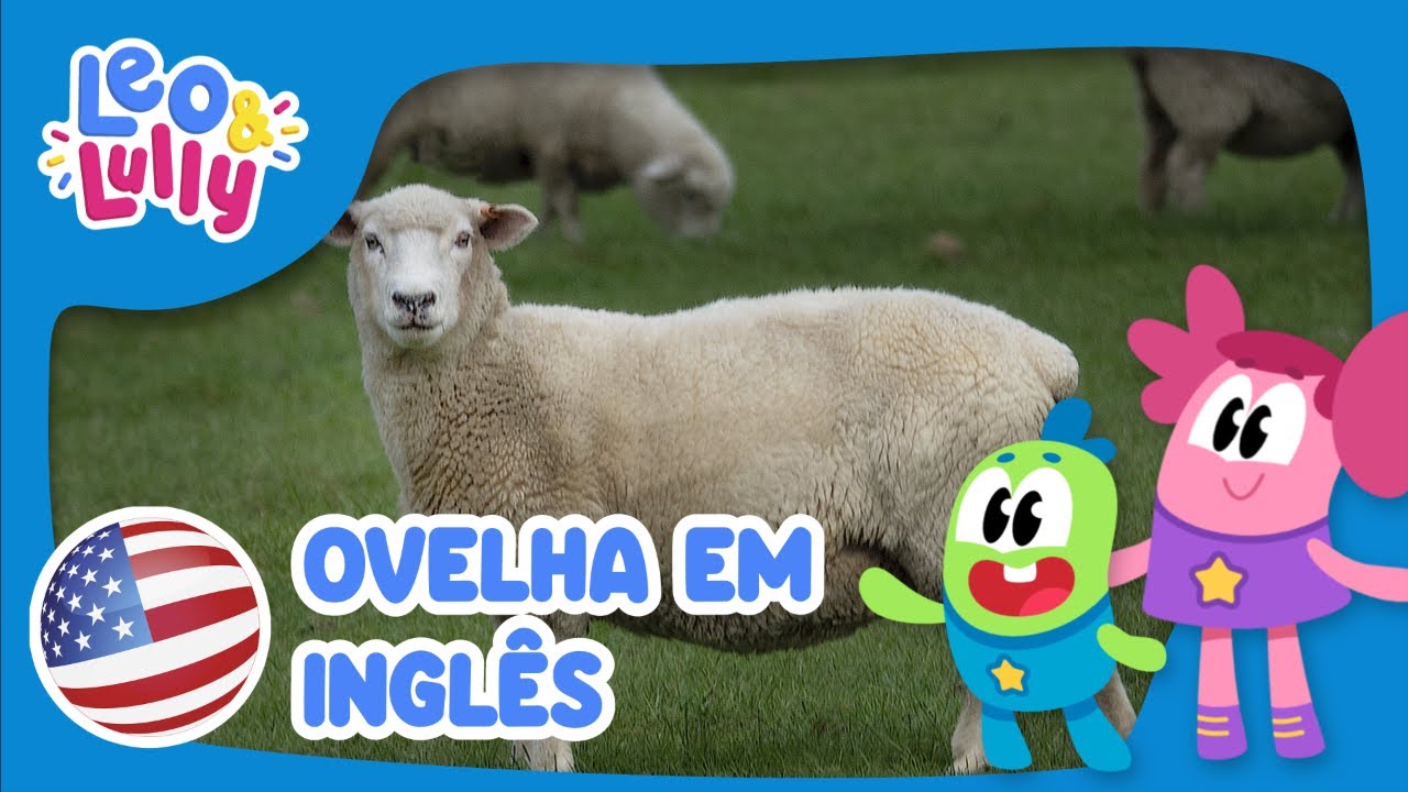 A Ovelha em Inglês! | Aprender Inglês com os Animais! - YouTube