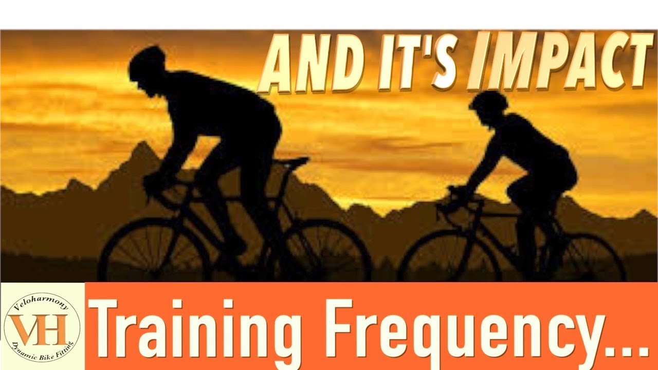 Impact of Training Frequency YouTube