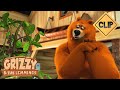 🌱 La main verte 🐻🐹 Grizzy &amp; les Lemmings / Cartoon