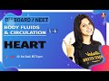 Body Fluids & Circulation L-4 | Human Heart | Class 11 | NEET Biology Lectures | Vedantu