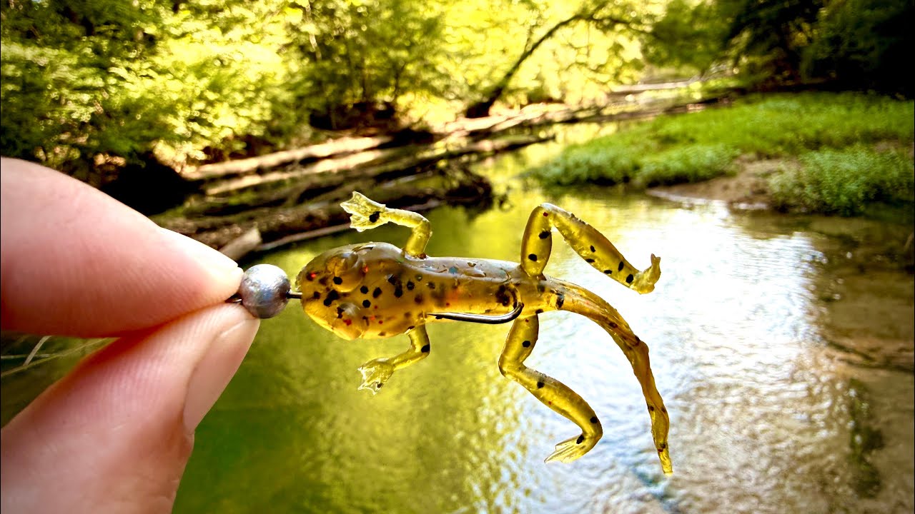 Creek Fishing Adventures