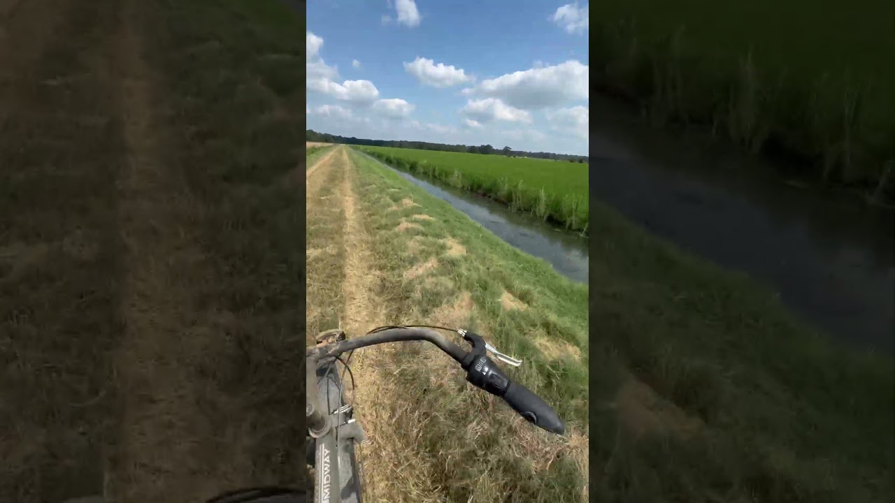Riding an old bike down a 