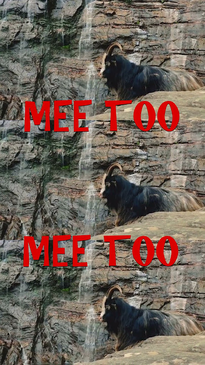 😂 AWESOME! See me 📷! Majestic Waterfall Mee Too... 🎭  🙈 ⛲ #show #trending #howto #goat #share #mimic