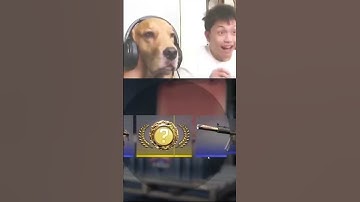 #cs #csgo #cs2overpass #cs2 #gaming #cs3 #standoff2 #memes #csgoclips #funny