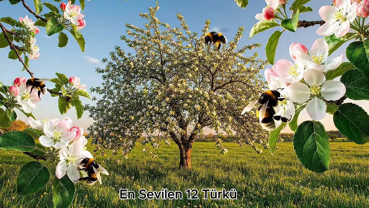 En Güzel 11 Türkü Cover - Nostalji Türküler (40 Dakika Kesintisiz)