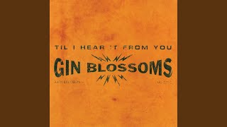 Video thumbnail of "Gin Blossoms - Idiot Summer"