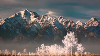 The old fashioned way ,  Ronnie Aldrich  -