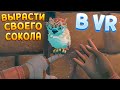 ВЫРАСТИ СВОЕГО СОКОЛА В ВР ( Falcon Age VR )