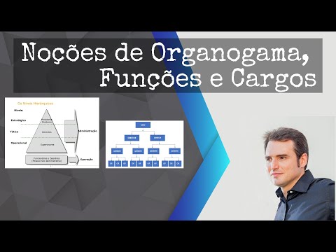 Noções de Organograma e Funções dentro da Empresa