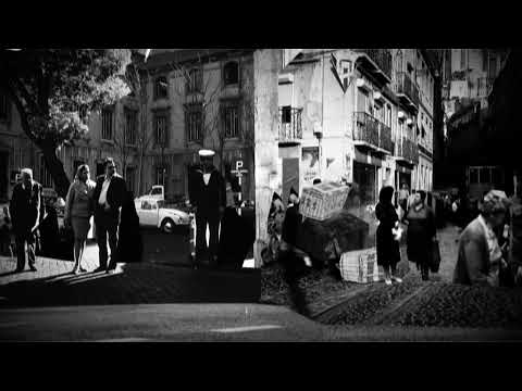 Tour Circo de Feras - 'Esta Cidade' 2022