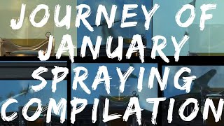 Il-2 Bos, Journey Of January Spraying Compilation